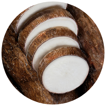 Cassava root